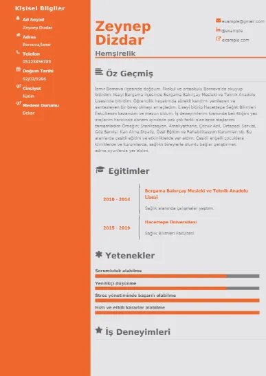 Sağlık Çalışanı Cv Örnekleri cv indir